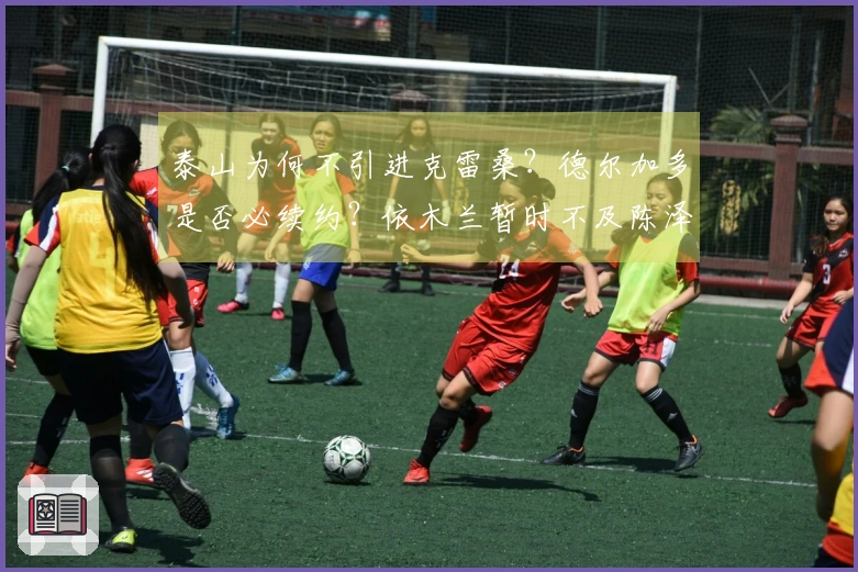 泰山为何不引进克雷桑？德尔加多是否必续约？依木兰暂时不及陈泽仕