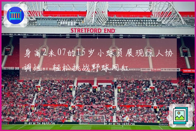 身高2米07的15岁小球员展现惊人协调性，轻松挑战野球网红