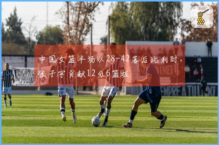 中国女篮半场以28-42落后比利时，张子宇贡献12分6篮板